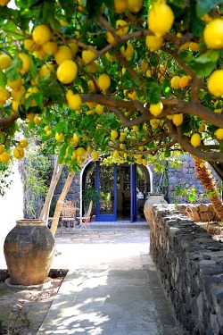 wow4any:Hotel Signum in the Aeolian Islands,