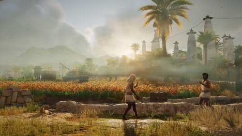 Assassin’s Creed Origins  PC version  screenshot from my flicker camera roll