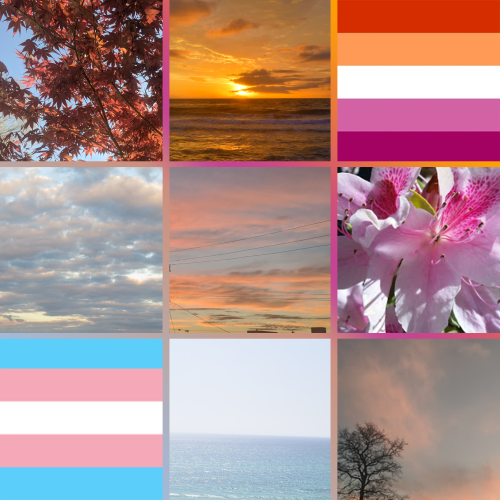 Trans lesbian moodboard! For all the transgender lesbians out there! All images used are my own, ple