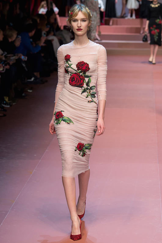 theclotheshorse:dolce &amp; gabbana fall 2015