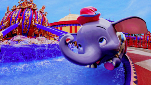 Walt Disney World | Magic Kingdom | Fantasyland↪   Dumbo the Flying Elephant