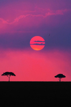 canislupvs:   Land of the Maasai (Kenya) || Aubrey Stoll      