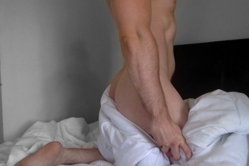 theonlylivingboyinnewyork: Bed Covers Part 2. Now with more butt…