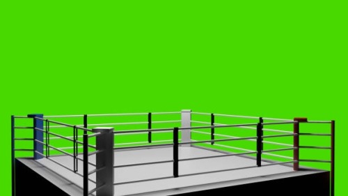 intellichad:christianstepmoms:christianstepmoms:Wrestling is fucking doomed y'all.