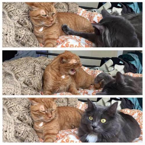 ‘When you check to see if bae still mad at you’
