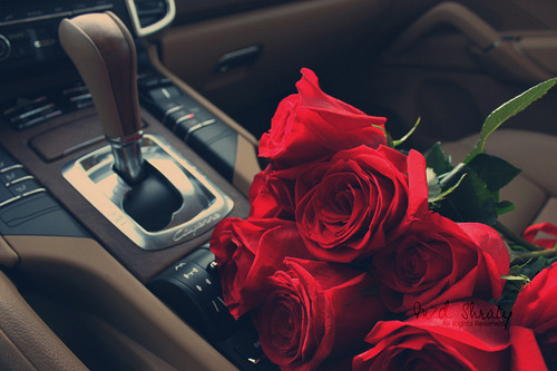 ♡ Part of me ♡