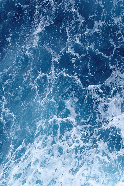 wolverxne:  untitled | (by: ithappenedin91)