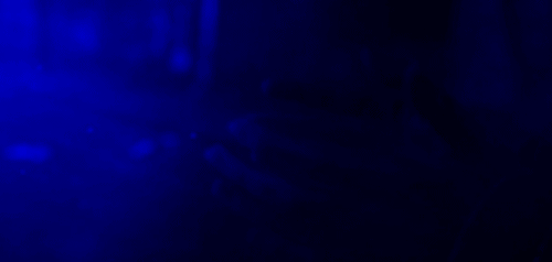 hellish-mind:Hellish
