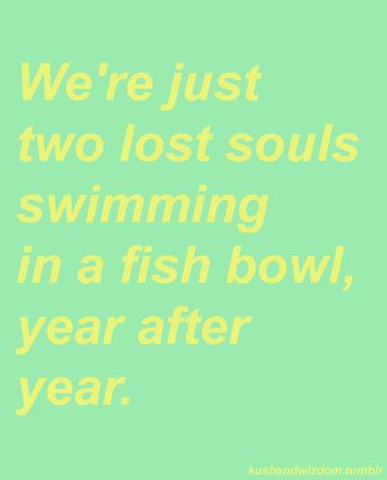 kushandwizdom:  40  Running over the same old groundWhat have we found, the same