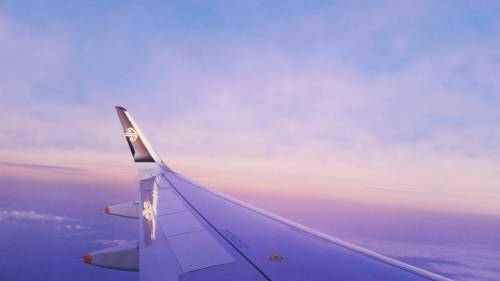 intrepidpatch:#sun #sunrise #airnewzealand #smoothsailing #jetplane #upupandaway #blue #sky #clearsk