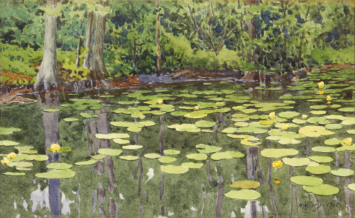 Water-Lily Pond, Gunnar Widforss, 1915