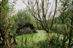 90377:   Biesenthaler Becken - Rüdnitzer