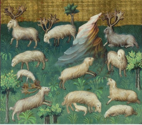 Livre de chasse, ca 1407. Gaston Phoebus