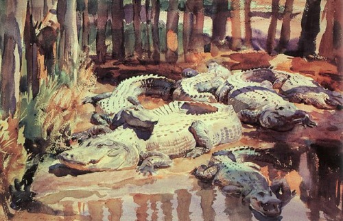 Muddy Alligators (1917). John Singer Sargent.Alligators have been around for roughly 65 million year