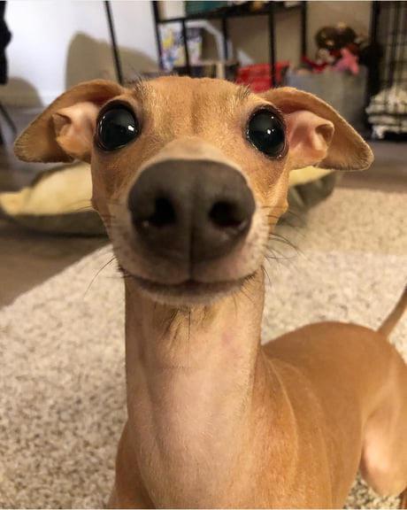 hitmewithcute