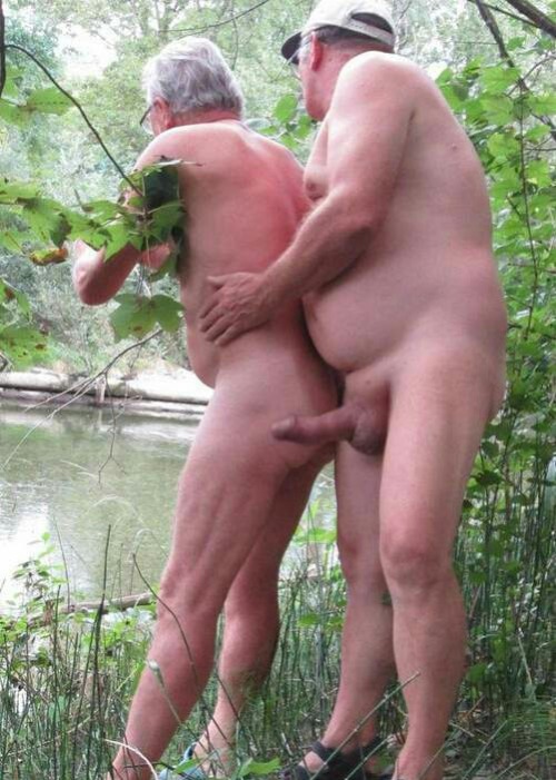 Quero maduros