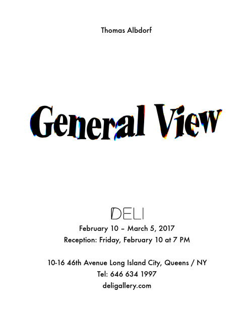 Thomas Albdorf - General ViewDELI Gallery, February 10 – March 5, 2017Reception: Friday, Febru