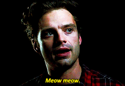 Oh my Sebastian Stan