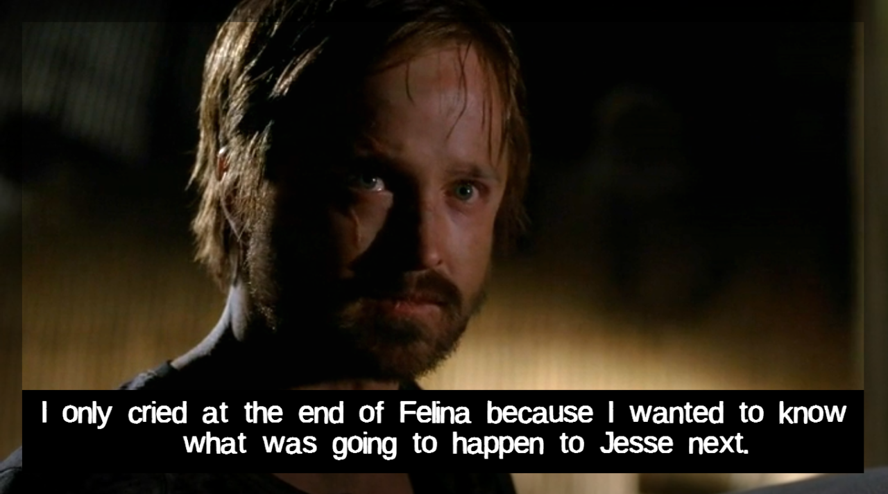 breaking-badconfessions:    I only cried at the end of Felina because I wanted to