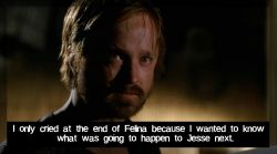 Breaking-Badconfessions:    I Only Cried At The End Of Felina Because I Wanted To