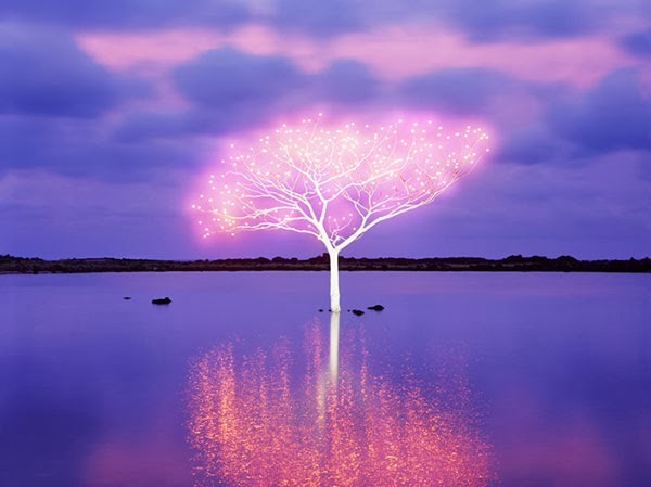 from89:   Tree of Life in Island by Lee Jeong Lok  You Can Also Find Me -: Skumar’s :- Twitter | Facebook | We