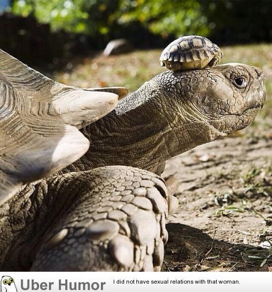 omg-pictures:  140 year old mom with her 5 day old sonhttp://omg-pictures.tumblr.com