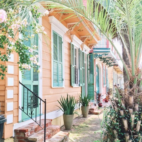 little-shop-of-nola: new orleans :  @lsteffan | @nola_val | @davidnola  