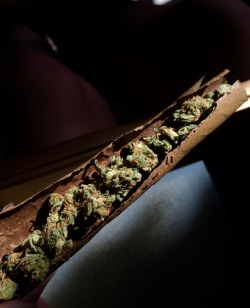 awakeningavalon:  Quick little blunt before