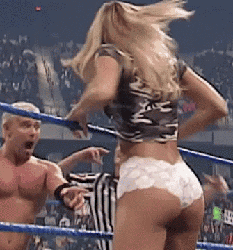Wrestling Divas Past And Present