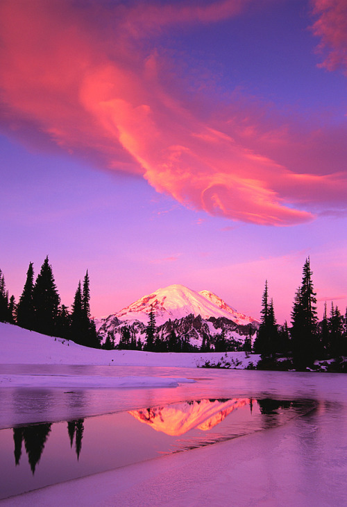 Mt. Rainier and lenticular cloud sunrise by Bruce Lytle