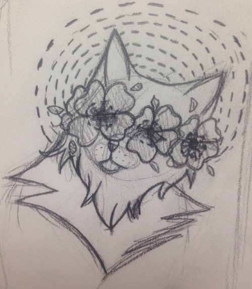 Some Cats
