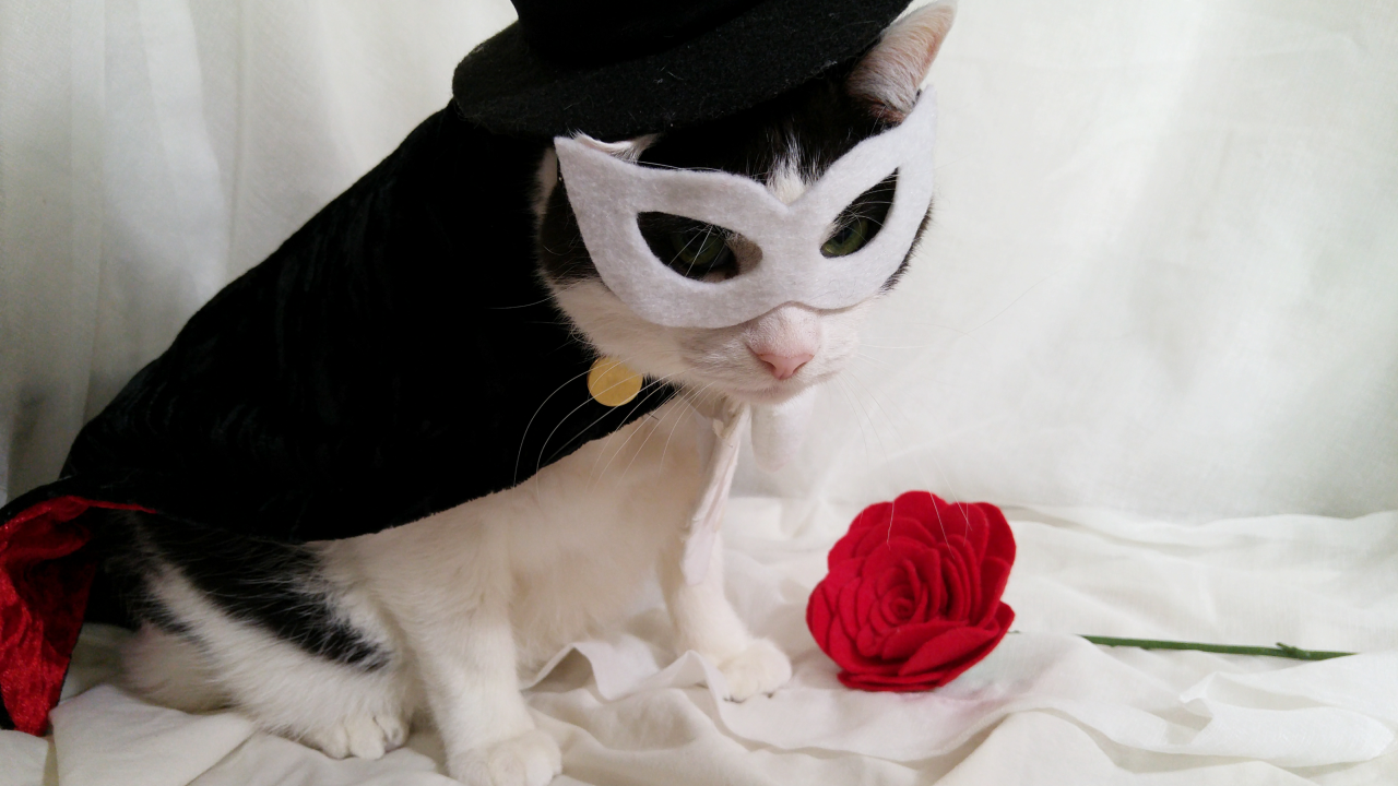 timeywimeyjedi: I finally finished Cosmo’s Tuxedo Mask costume!