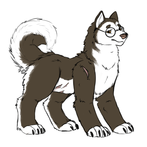 My canine shapeshifter for Shadowrun ! His name is Sockpuppet and he’s a decker! I love him so much!