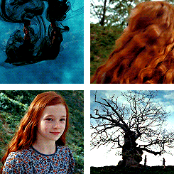 severusnapers:  THE MAGIC BEGINS: Saddest Scene → The Prince’s Tale 
