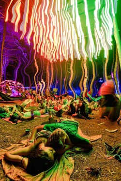 doobz-n-boobz:  j-aliien:  take a vacation   Electric forest?!?