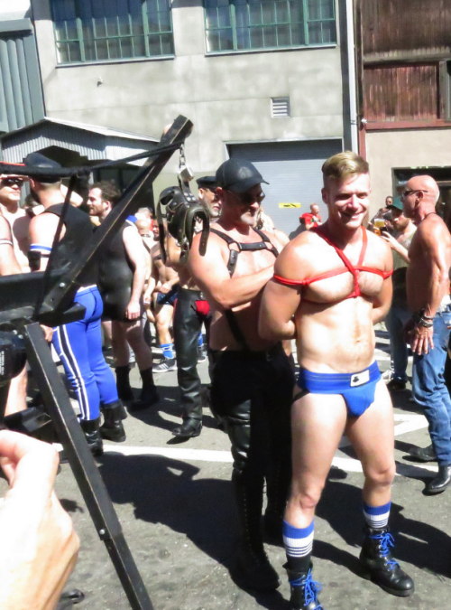 benstarknaked:  One of these days I’m going to go to Folsm Street fair and get stripped naked and tied up in public.