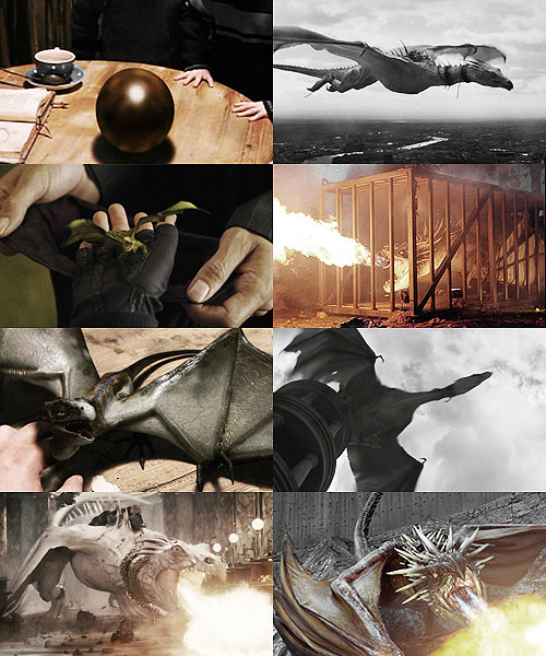 scottsumrners:↳ Fancasting Meme ↯ 02/03 Canon Legends/Myths/Lore →  Dragons.(…) Muggles believe that