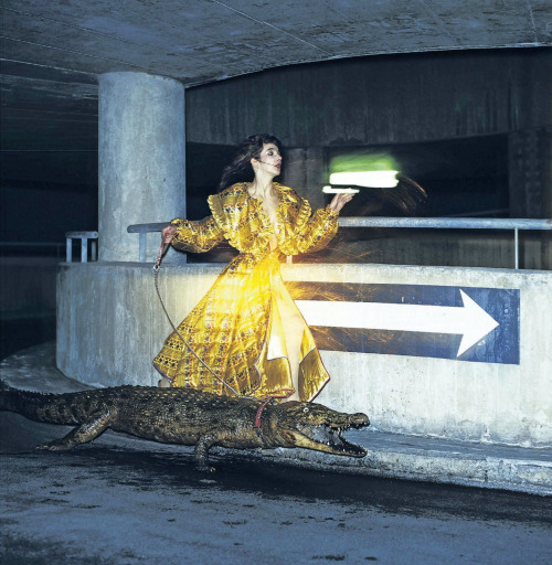 vintageruminance:Kate Bush with crocodile - 1978