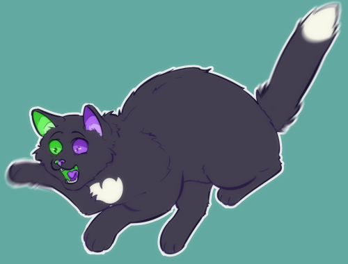 ravenpaw looks like this (design by @angrygremlin-warriordesigns)