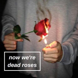 at-102-am:  deadroses // blackbear