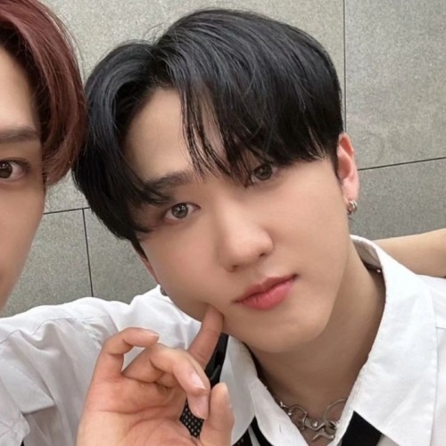 Lee Know + Seo Changbin Matching Icons/metadinhas.