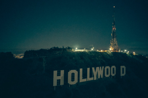 Hollywood Nights