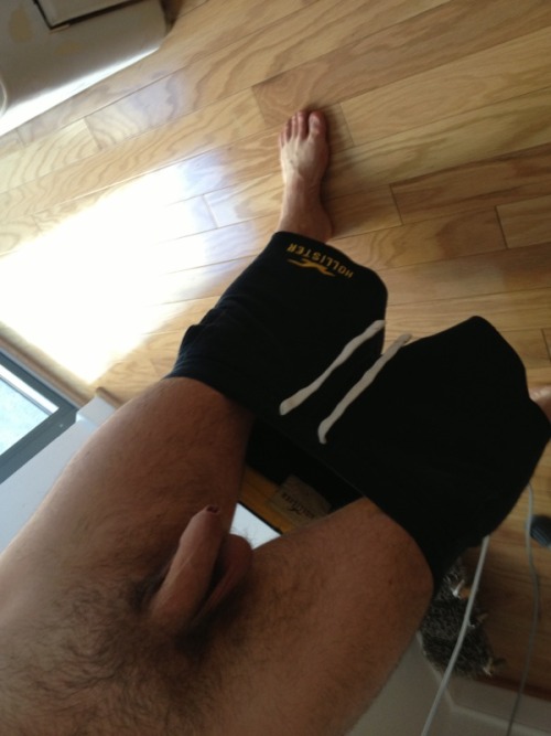 britishbriefsboy:  Decided to freeball in my Hollister shorts today
