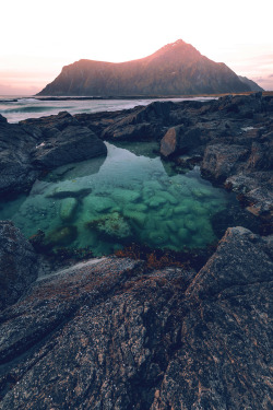 dennybitte:  coastal poolLofoten / Norwayby Denny Bitte