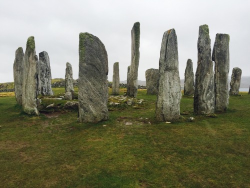 letsliveinpeace: Callanish standing stones, Isle of Lewis 2015