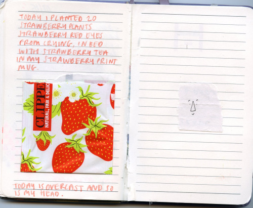 nasturtiums:  some journal pages from may/june 