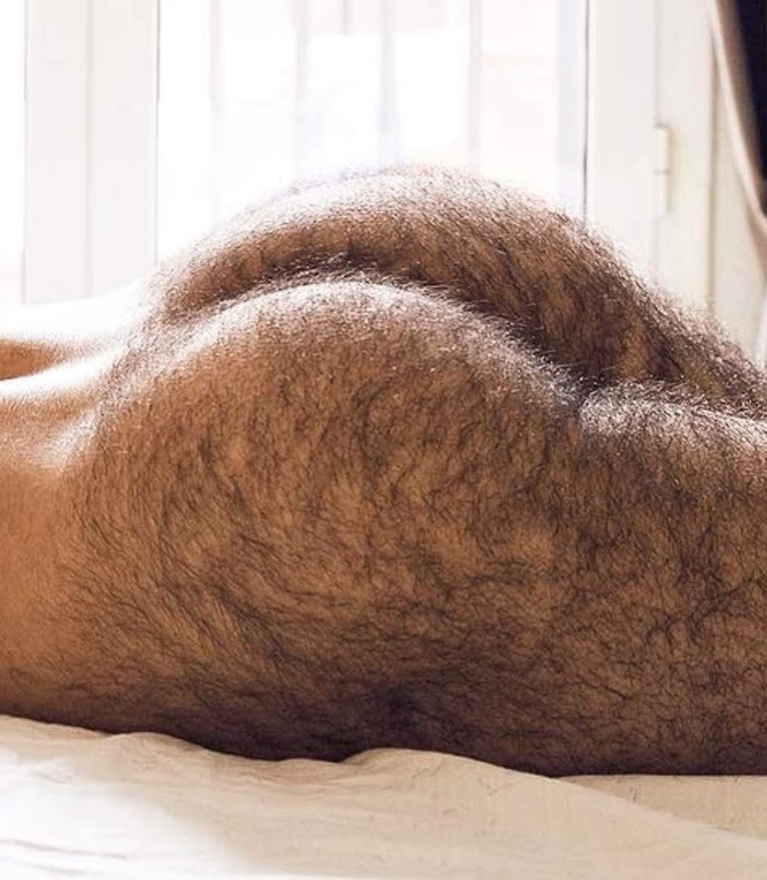 moustache35:What a hairy Ass  🚜🚜🍑🍑🛠🛠🧢🧢🌽💦💦 porn pictures