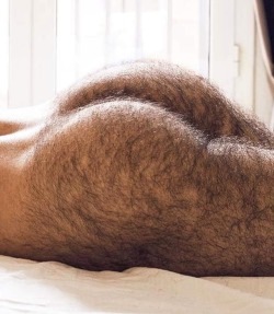 moustache35:What a hairy Ass  🚜🚜🍑🍑🛠🛠🧢🧢🌽💦💦 À BOUFFER !