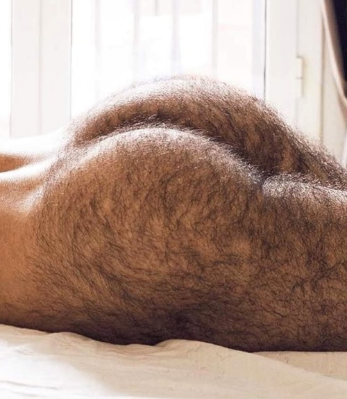 Sex moustache35:What a hairy Ass  🚜🚜🍑🍑🛠🛠🧢🧢🌽💦💦 pictures