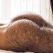 Porn photo moustache35:What a hairy Ass  🚜🚜🍑🍑🛠🛠🧢🧢🌽💦💦